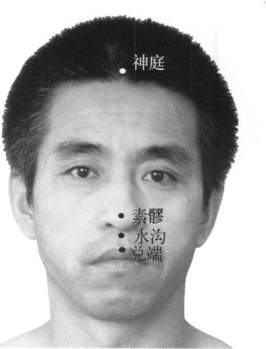 357.神庭